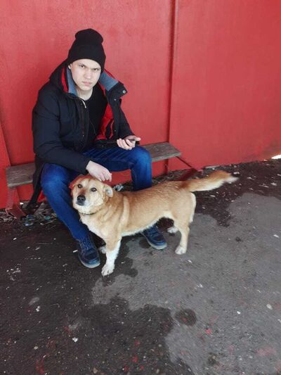   ,   Artem, 24 ,   ,   