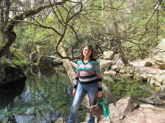  ,   , 54 ,   c , 