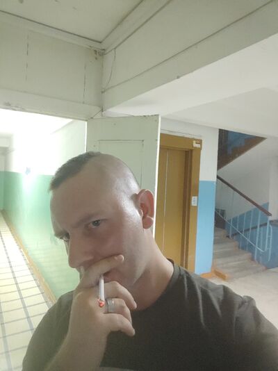  -,   Vvutman, 33 ,   ,   , c 