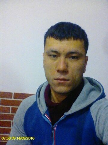  8393687  , 34 ,    