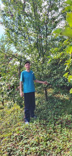  ,   Denis, 38 ,     , c 