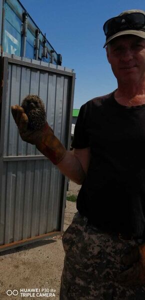  ,   Aleksandr, 54 ,  
