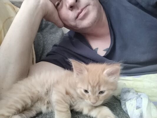  ,   Vad, 47 ,   ,   