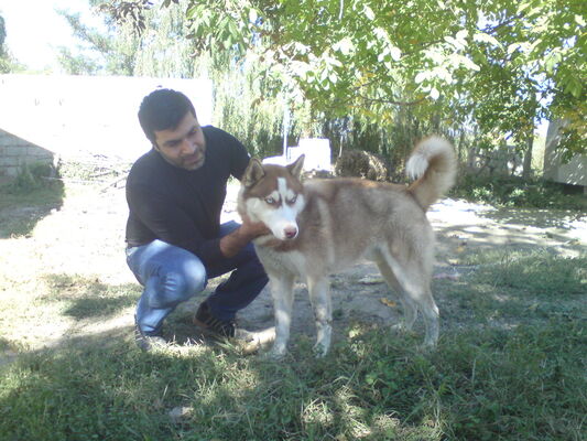  ,   Badri, 47 ,   