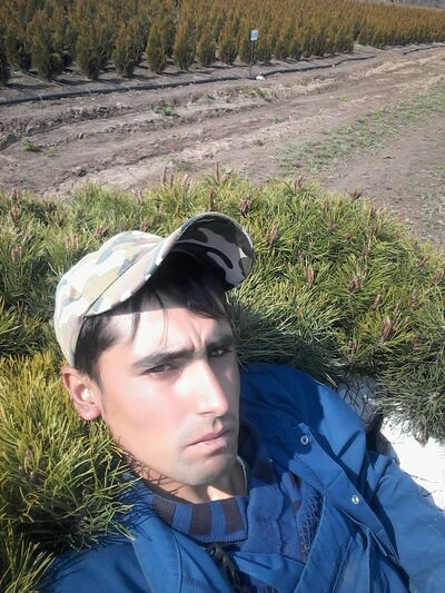  ,   Igor, 29 ,   ,   , c 