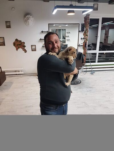  ,   , 40 ,   ,   