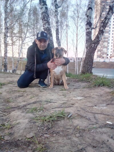  ,   , 46 ,     , c , 