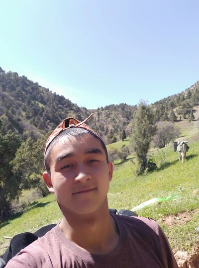  -,   , 24 ,   ,   