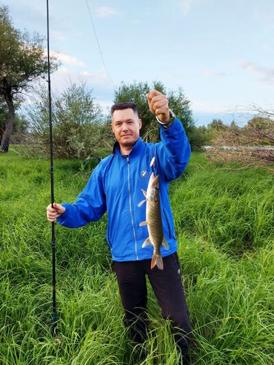  ,   Graf, 48 ,   ,   