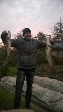 ���������� ������, ���� ������� ����, 38 ���, ������������ ��� ������, ����� � ���������, c�������� ���������