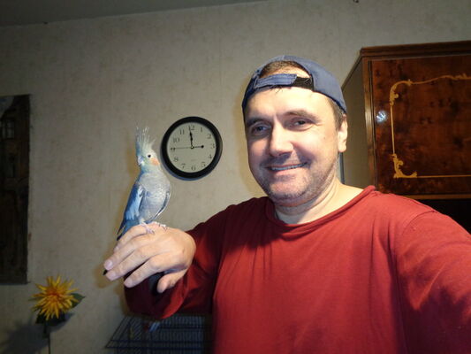  ,   , 52 ,   ,   , c 