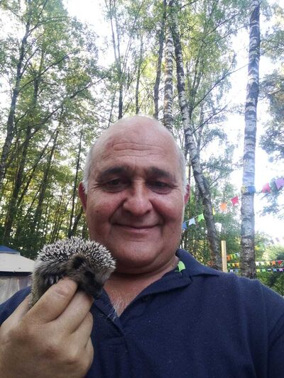  ,   , 56 ,   ,   