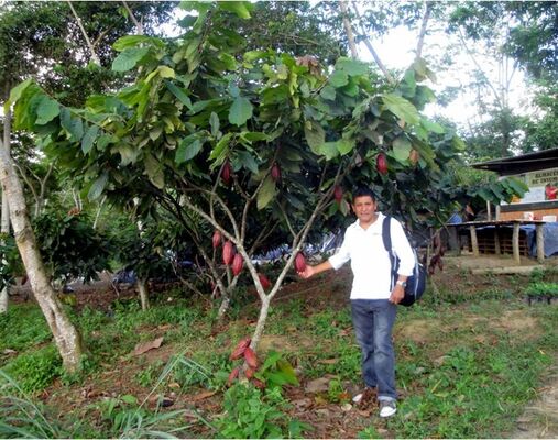  Salaverry,   Vidal, 66 ,   ,   