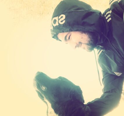  ,   Nooltertoolz, 25 ,   ,   