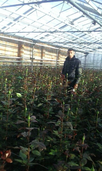 ,   Vahram, 38 ,   