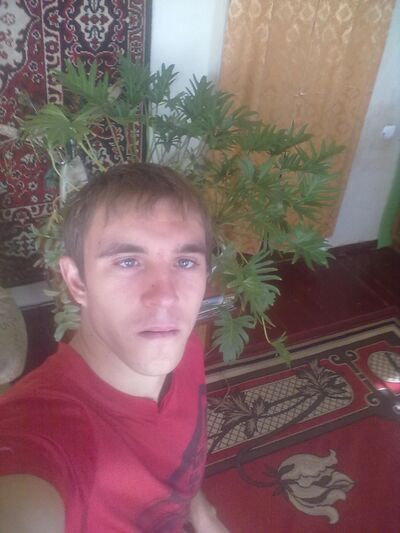  -,   , 31 ,   ,   , c 