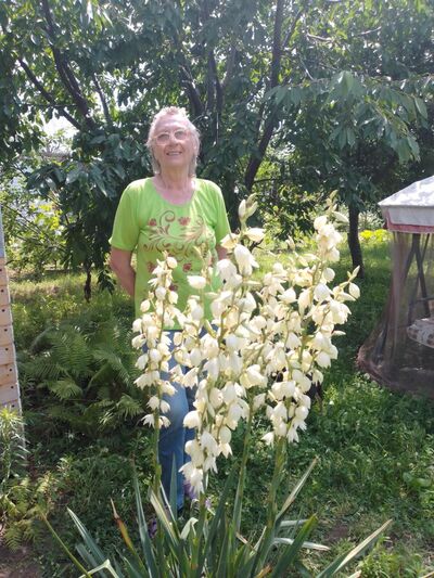  ,   , 74 ,   c 