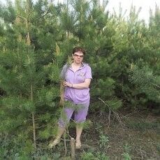 ���������� �������, ���� ������� �������, 49 ���, ������������ ��� ������, ����� � ���������, c�������� ���������