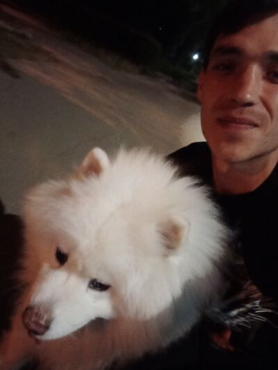  ,   , 32 ,   