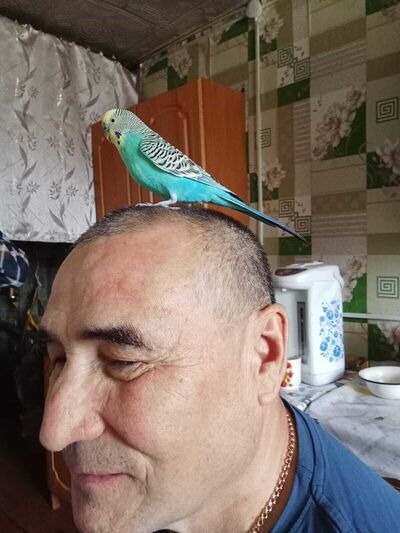  -,   , 57 ,   ,   