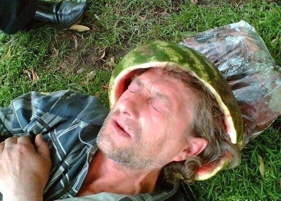  ,   , 56 ,  