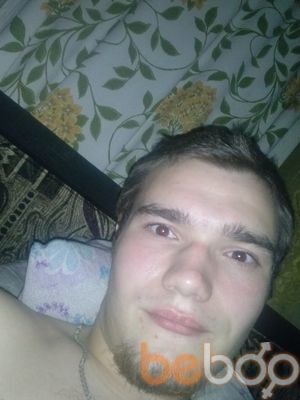  3649017  , 31 ,    -