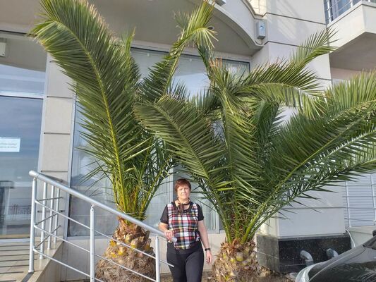  ,   , 60 ,   ,   , c 