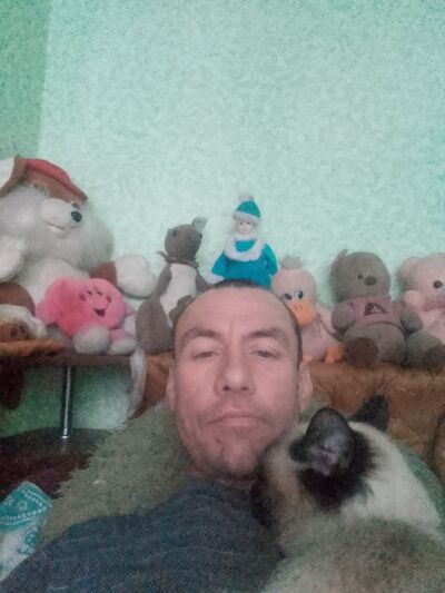  ,   , 46 ,   ,   