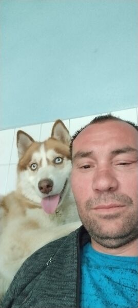  ,   Nij, 44 ,   ,   