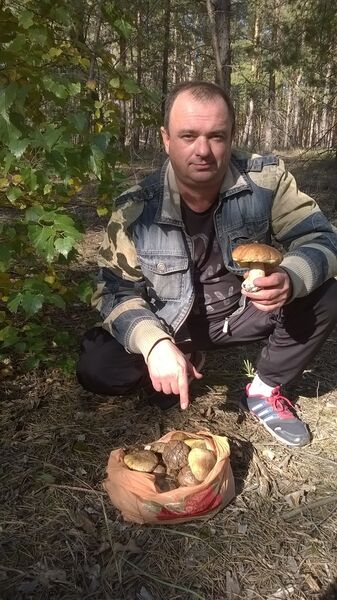  ,   , 53 ,   
