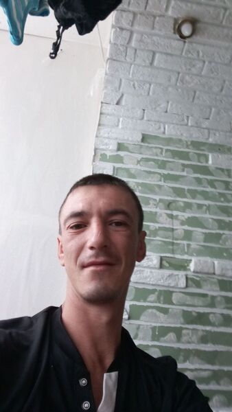  ,   Kotik_myr, 37 ,   ,   