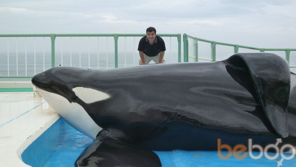  ,   Hamzus, 47 ,   