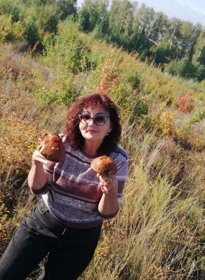  ,   INESSA, 61 ,   , c 