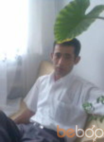 ���������� �������, ���� ������� �����, 43 ����, ������������ ��� ������