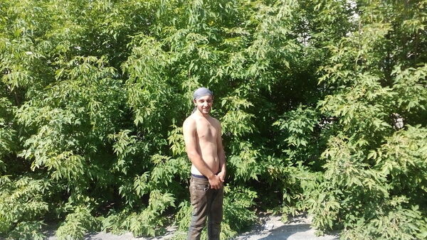  ,   , 29 ,   