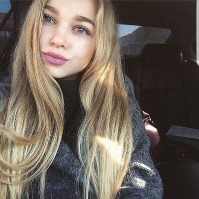  ,   Fox fox, 29 ,  