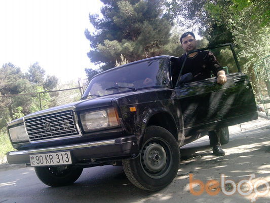  ,   ZAUR, 43 ,     , c 