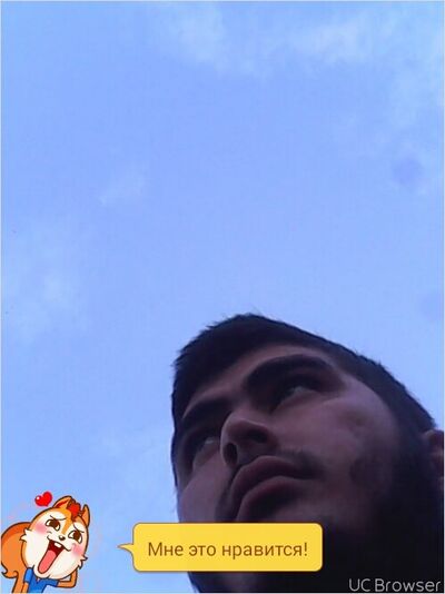  -,   , 31 ,   ,   , c 