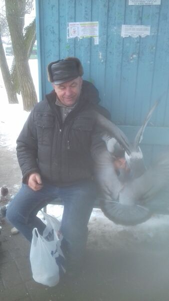  ,   Oleg, 59 ,   ,   , c 