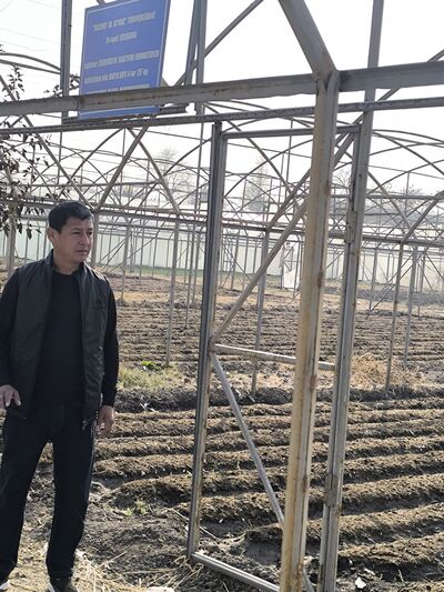  ,   Sherbek, 39 ,   ,   