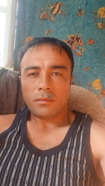 ,    , 29 ,   ,   