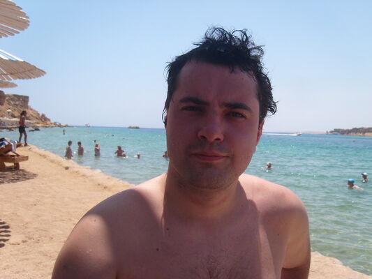  -,   , 36 ,   