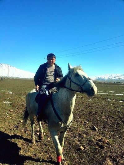  ,   Shavkat, 41 ,   ,   , c , 