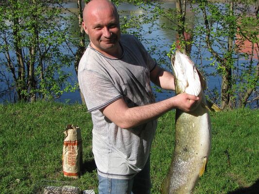  ,   , 51 ,   ,   , c , 