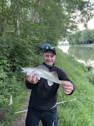  Damme,   , 38 ,   ,   