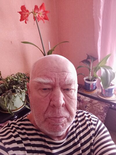 ,   , 78 ,  