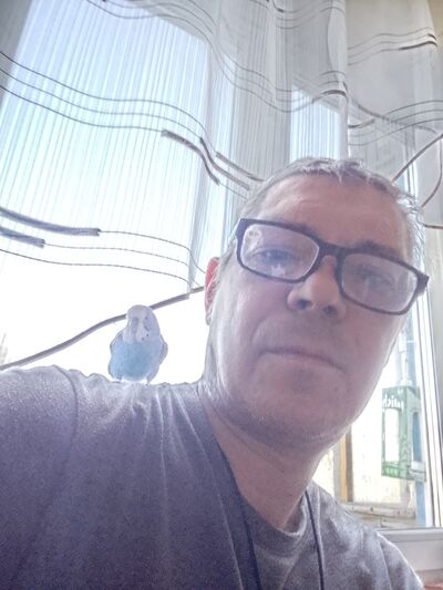  ,   , 46 ,     