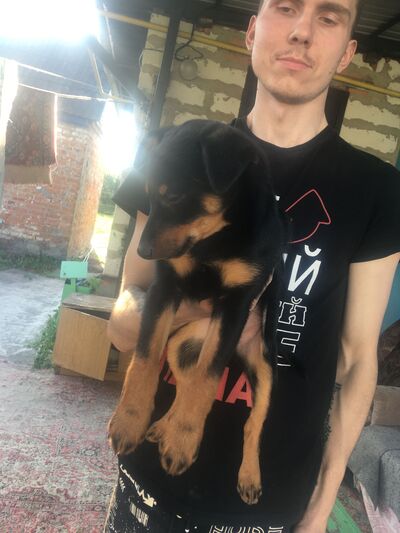 ,   , 26 ,   ,   , 
