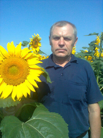  ,   , 68 ,   ,   