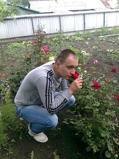  -,   , 38 ,  
